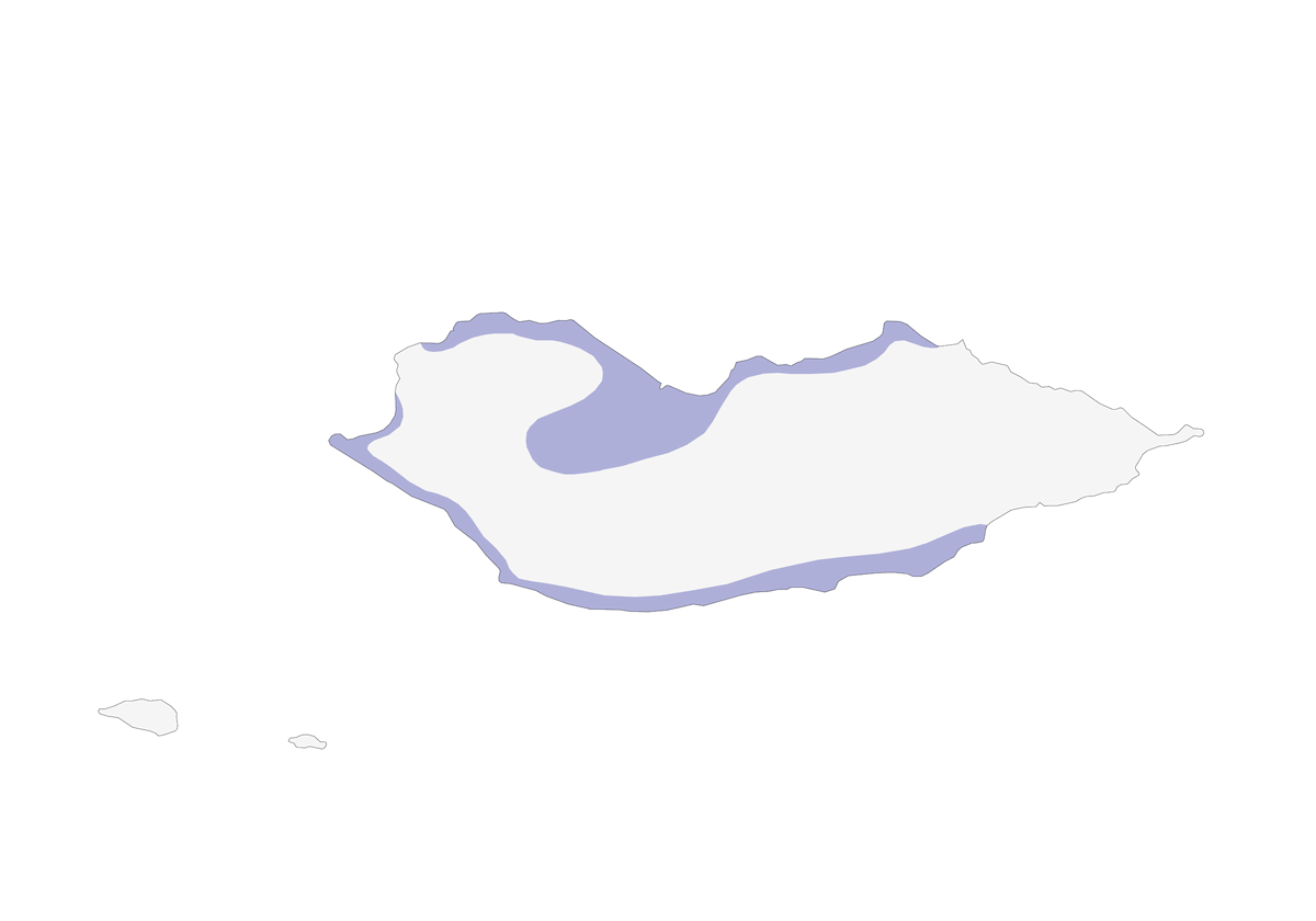 Cisticola di Socotra, Distribuzione 1