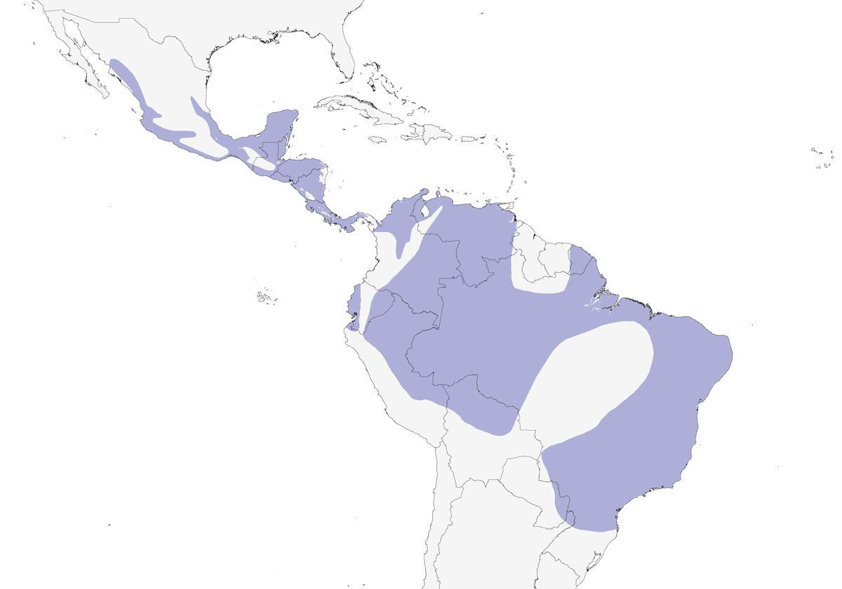 Mosquero social, Distribución 1