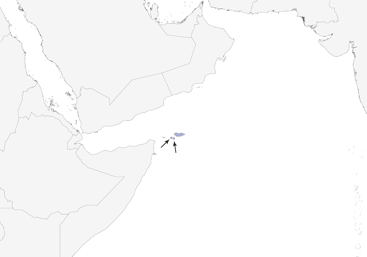 Socotra Sparrow, Distribution 1