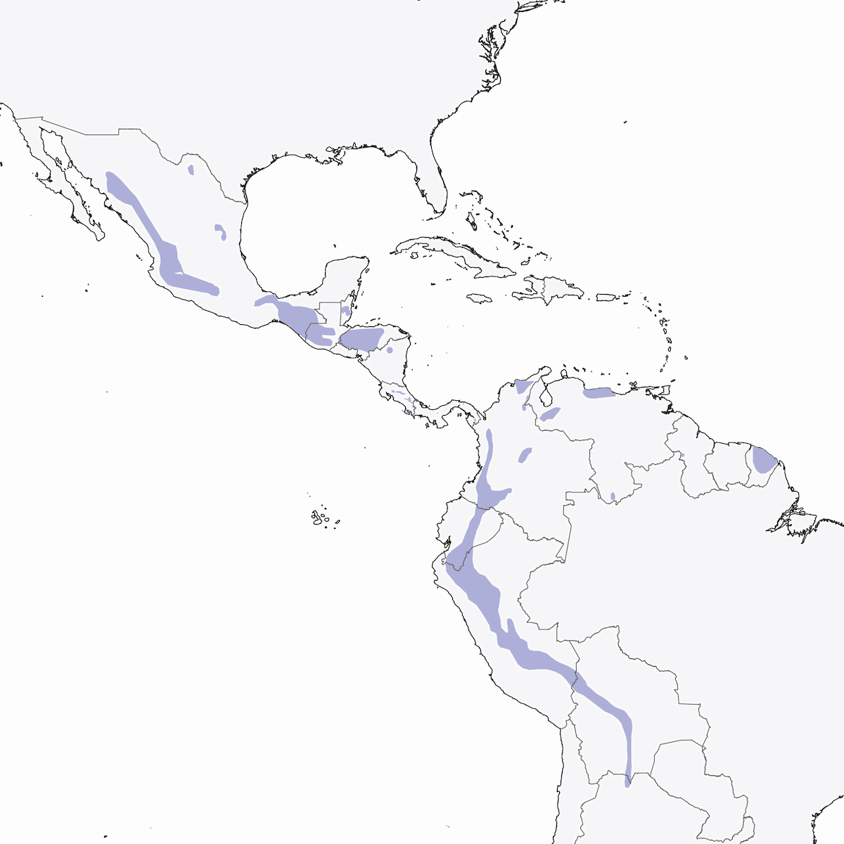 Solitary Eagle, Distribution 1