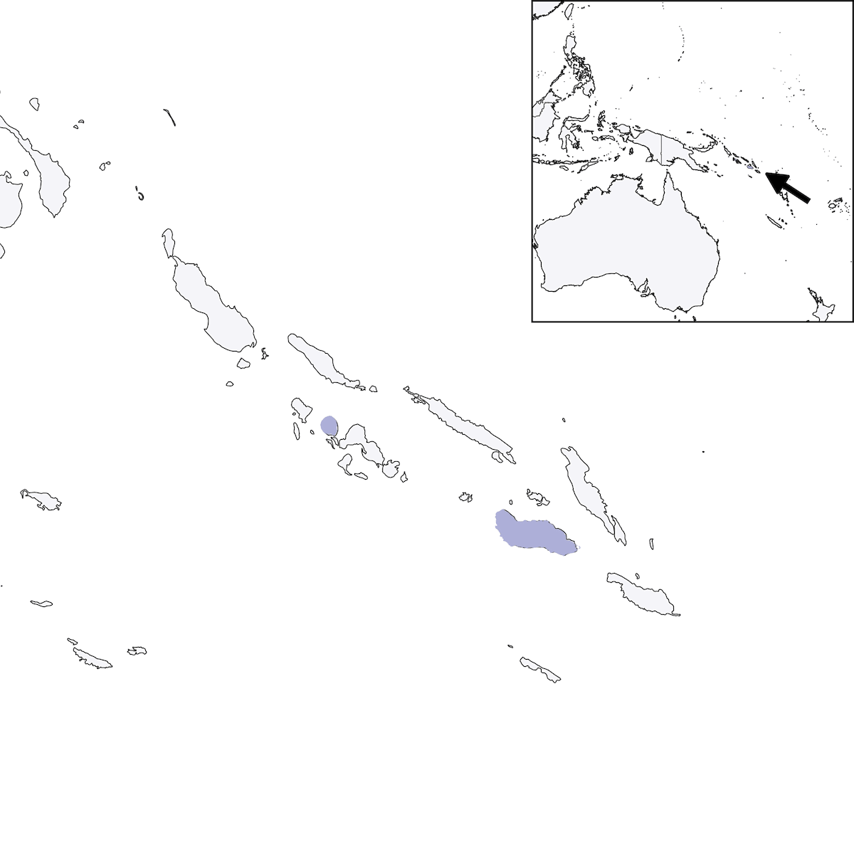 Solomons Island-Thrush, Distribution 1