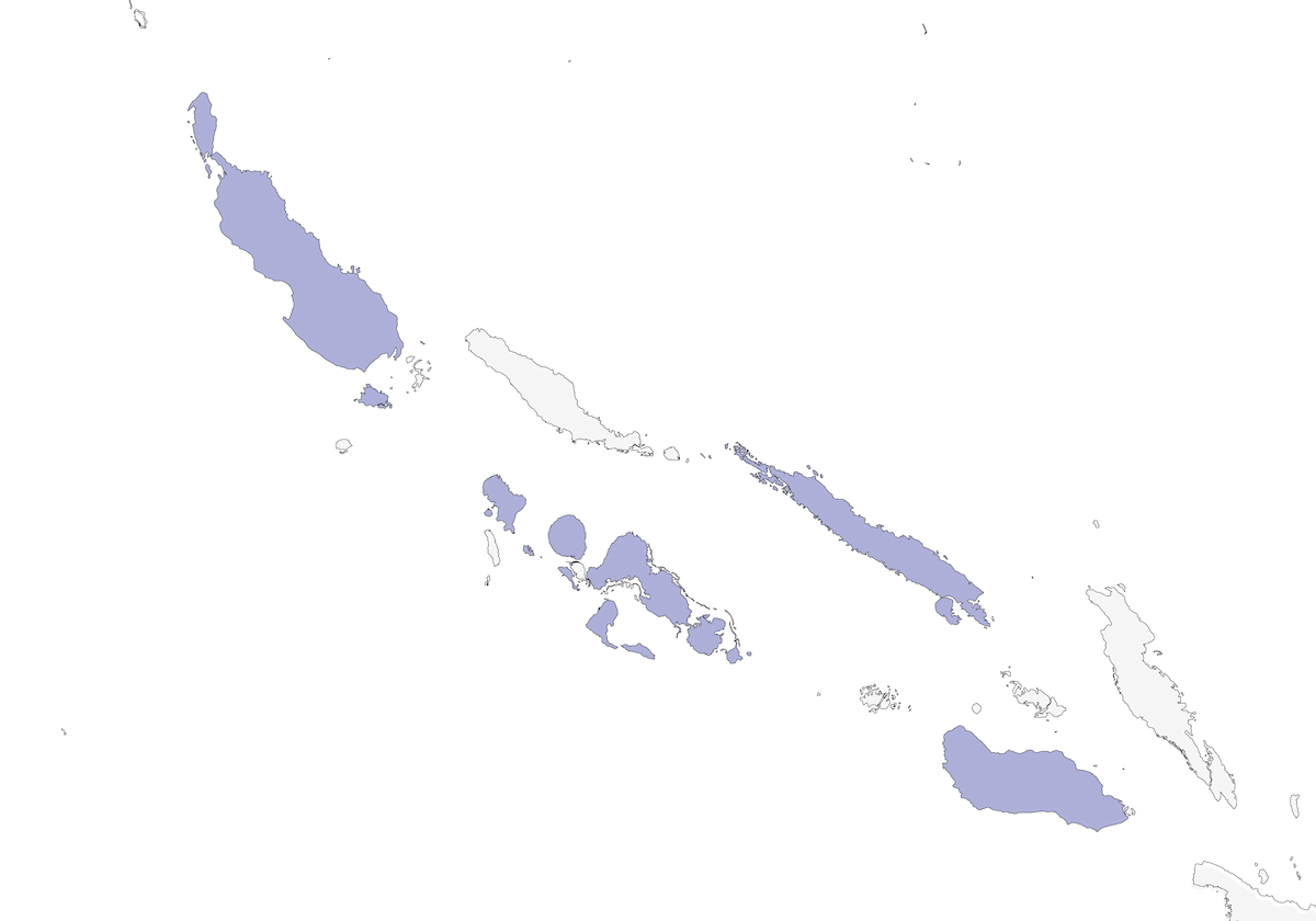 Solomons Nightjar, Distribution 1