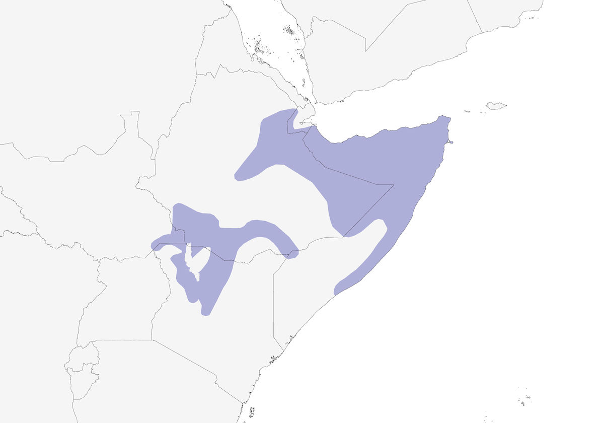 Somali Fiscal, 分布 1