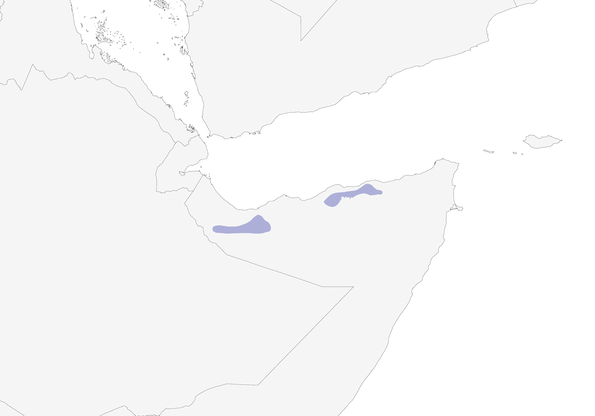 Grive de Somalie, Distribution 1