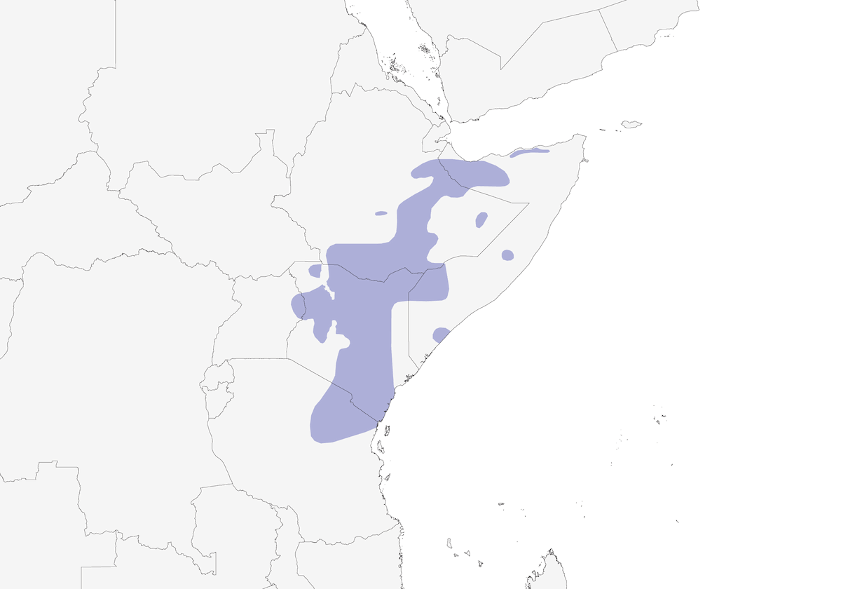 Somali-Meise, Verbreitung 1
