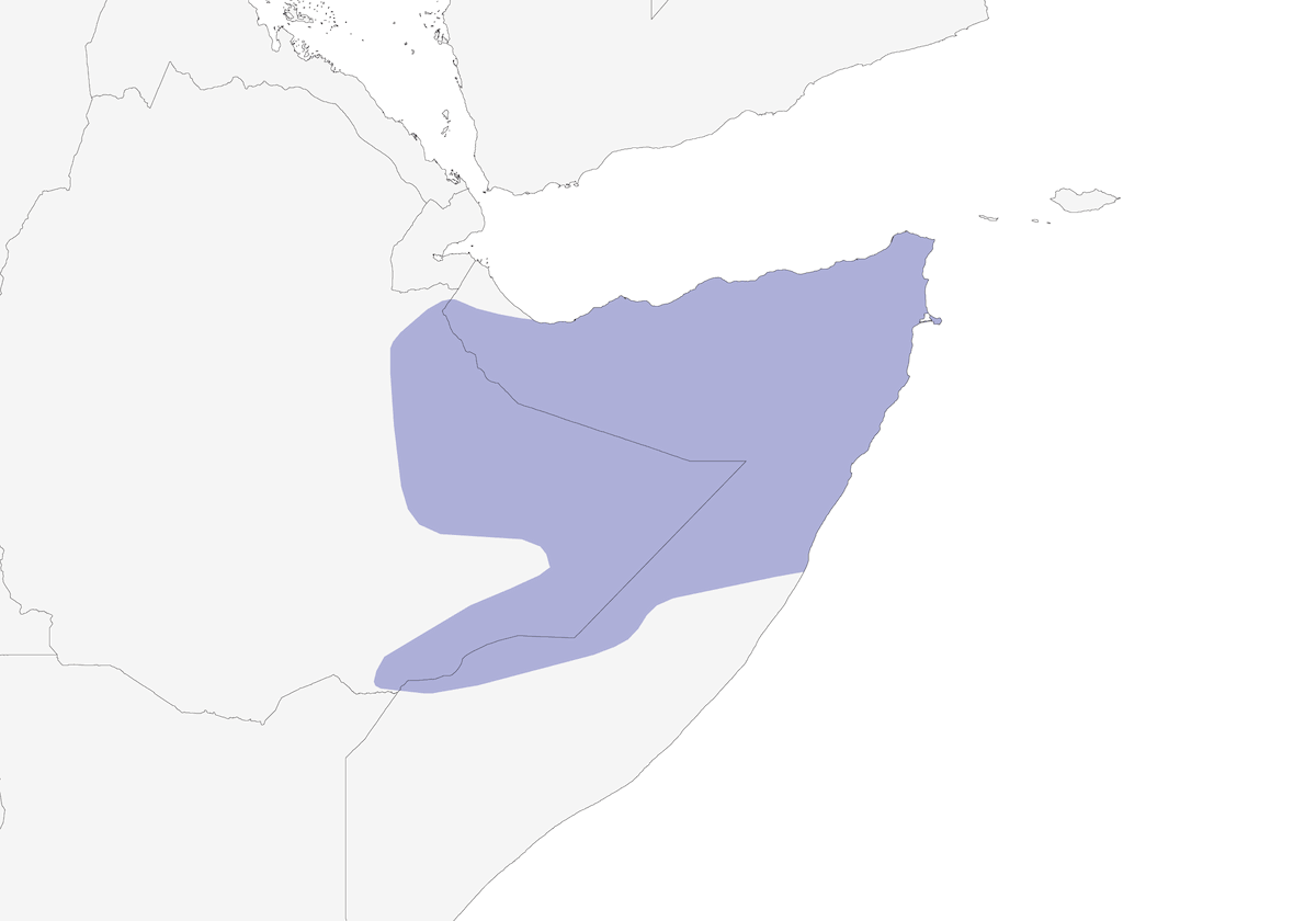 Collalba Somalí, Distribución 1