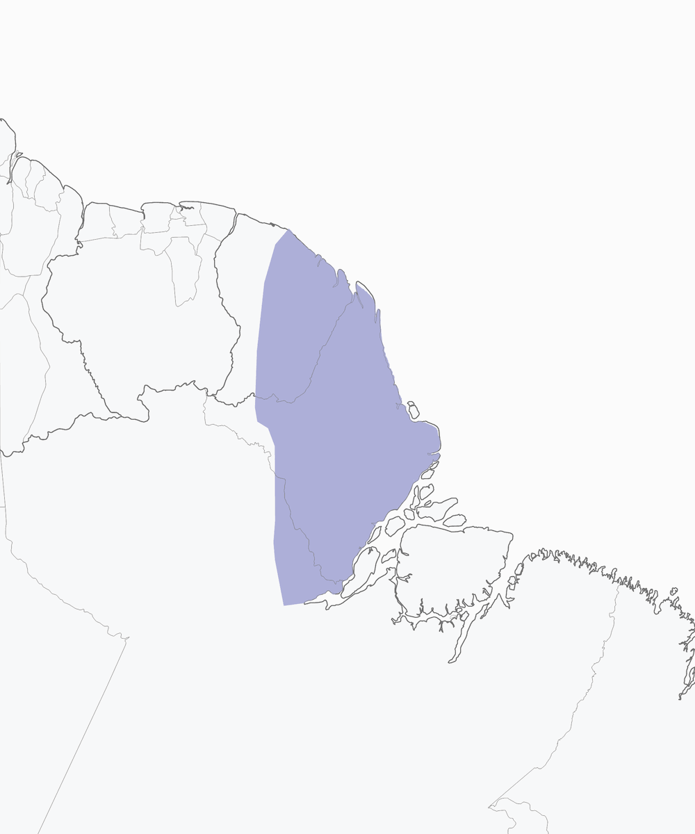 Picoaguja negruzco, Distribución 1