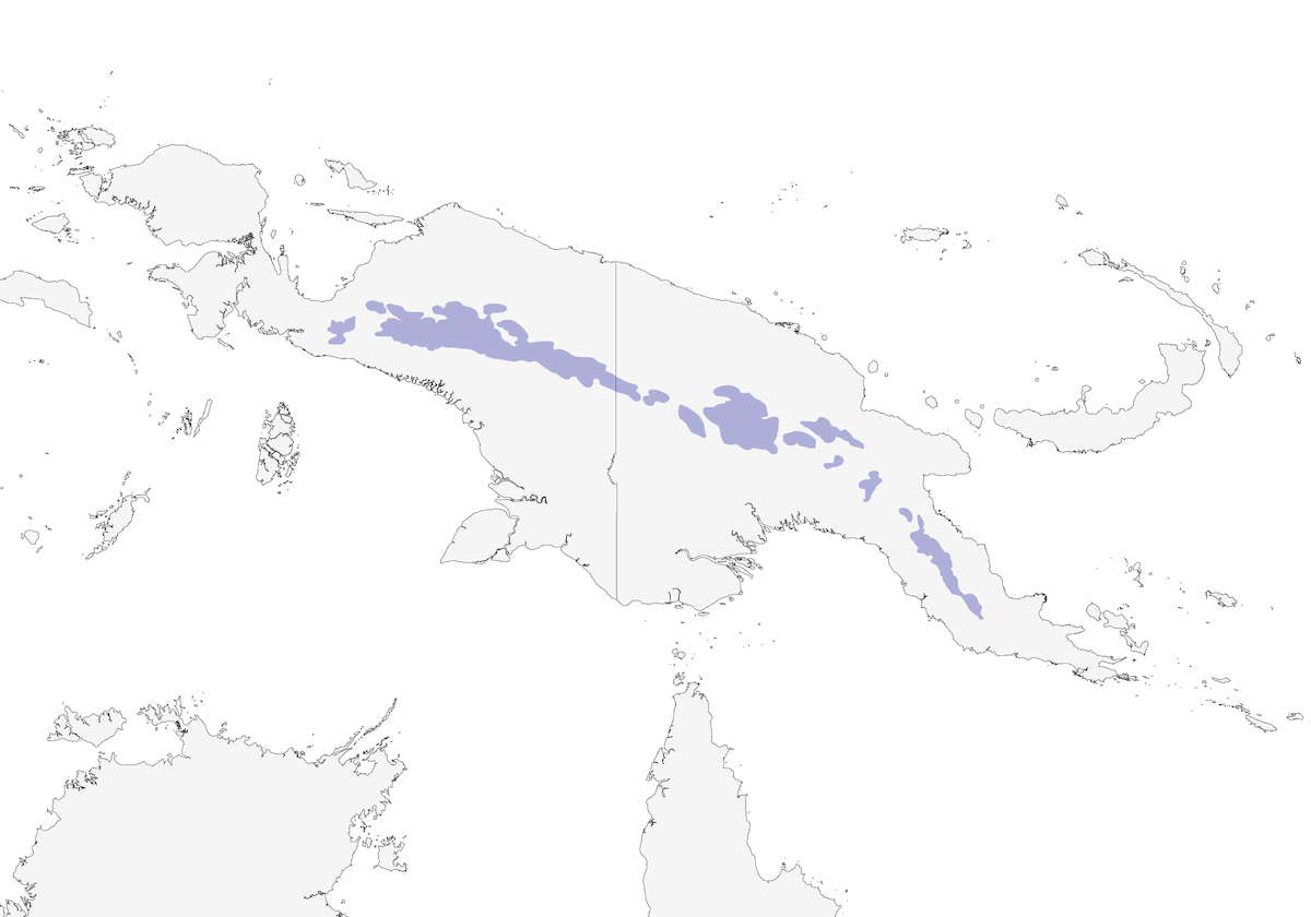 Melifago fuligginoso, Distribuzione 1