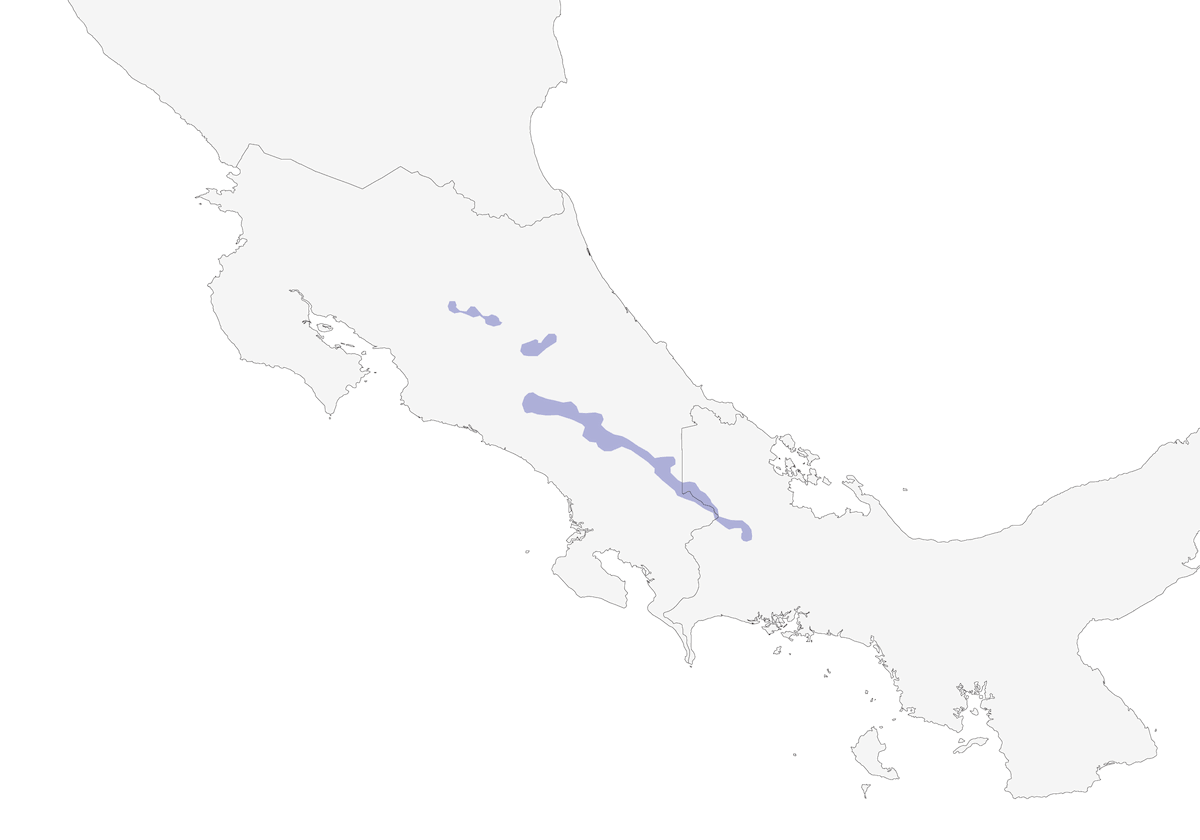 Tordo fuligginoso, Distribuzione 1