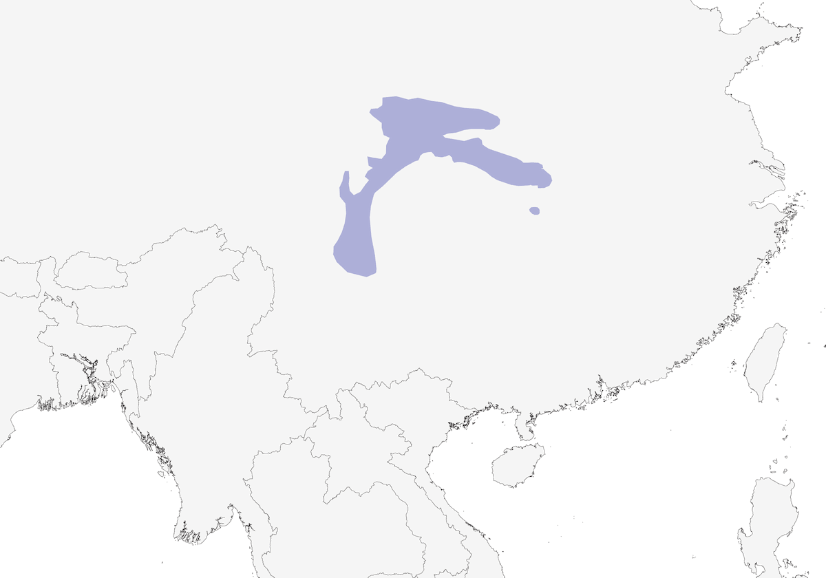 Sooty Tit, Distribution 1