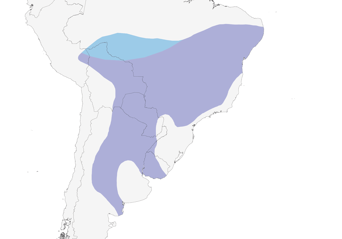 Southern Scrub-Flycatcher, Distribution 1