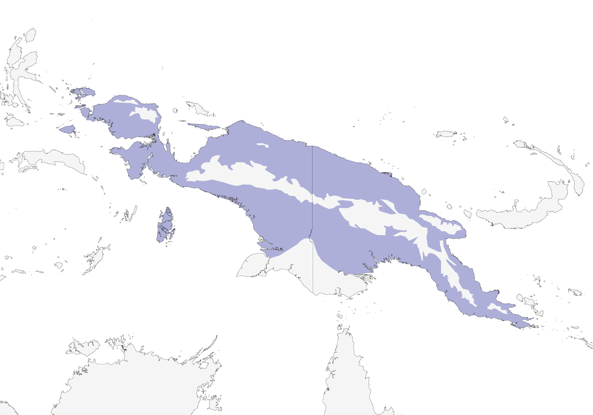 Sooty Thicket-Fantail, Distribution 1
