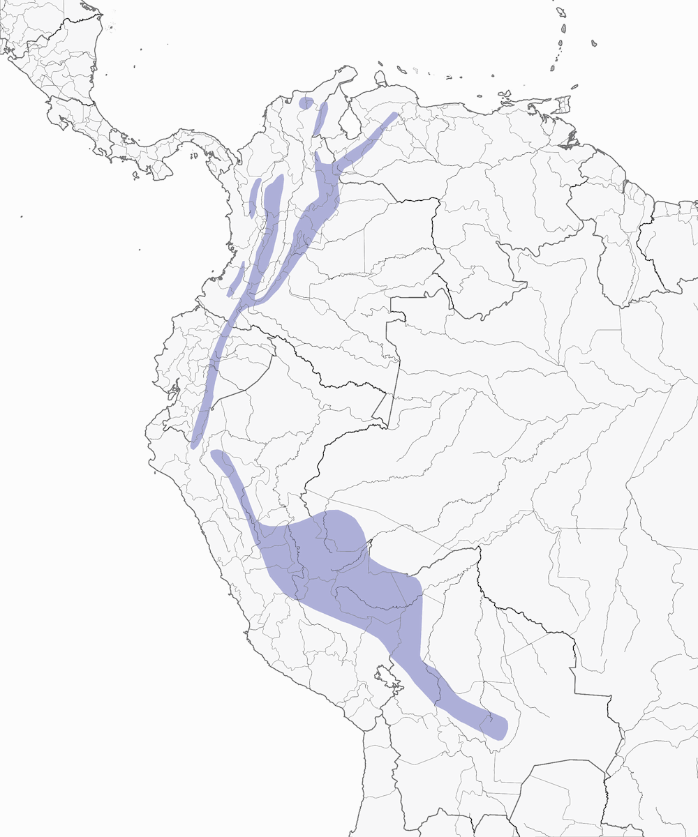 Southern Emerald-Toucanet, Distribution 1