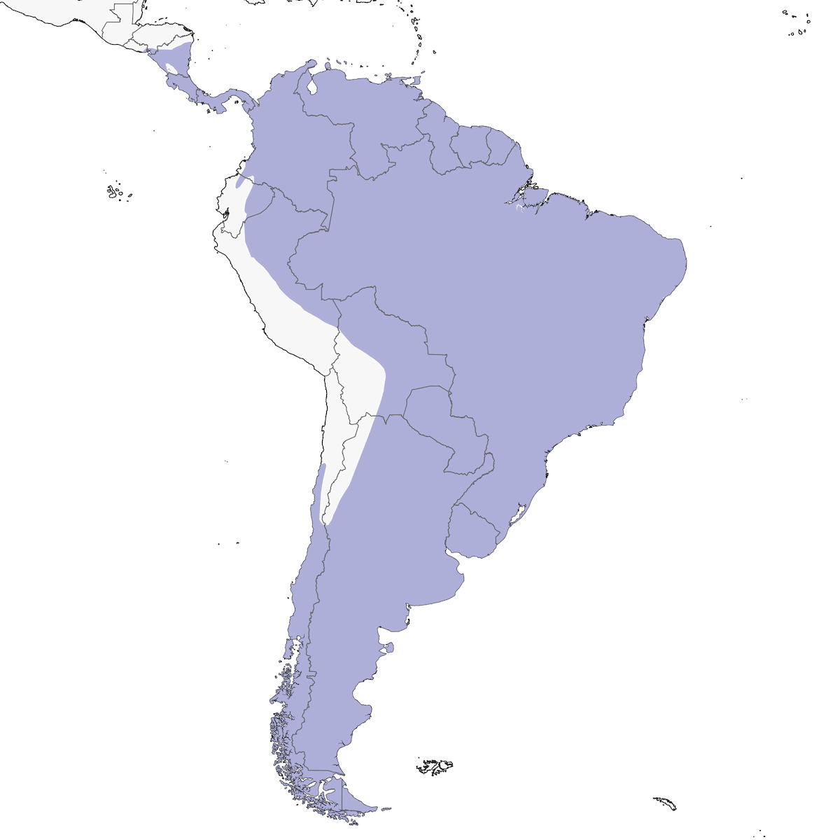 Vanneau téro, Distribution 1