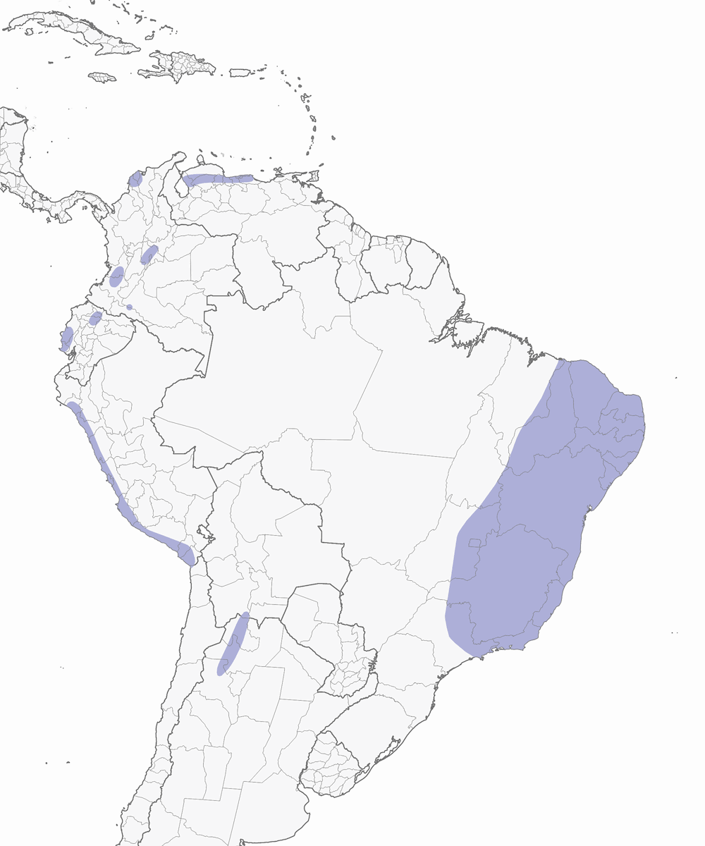 Southern Pochard, Distribution 1