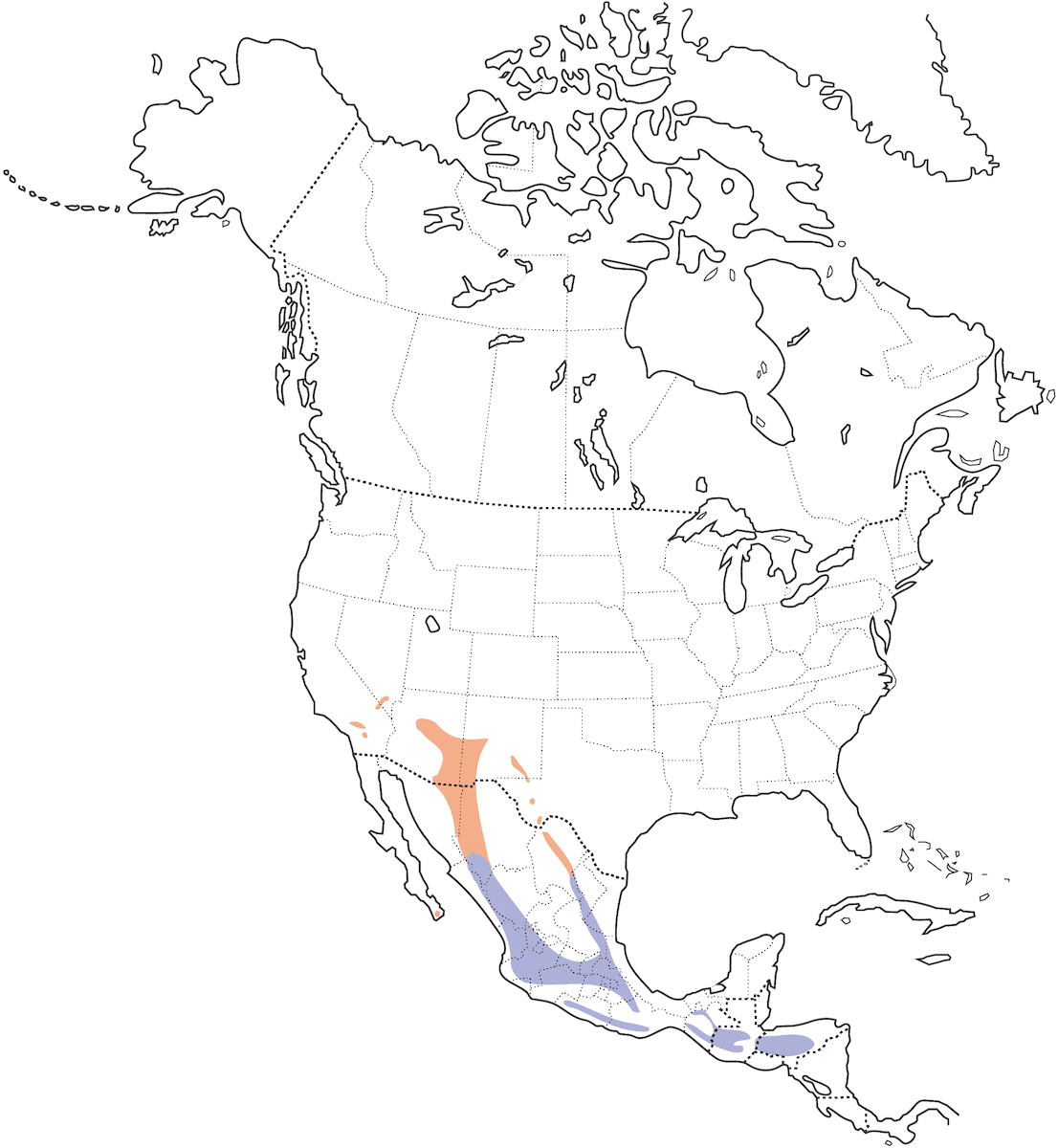 Chotacabras mexicano, Distribución 1