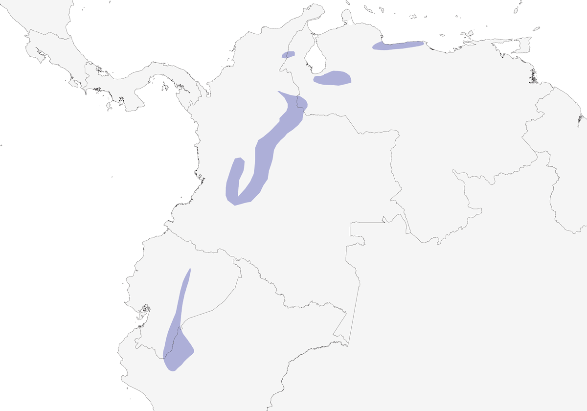 Coqueta Adornada, Distribución 1