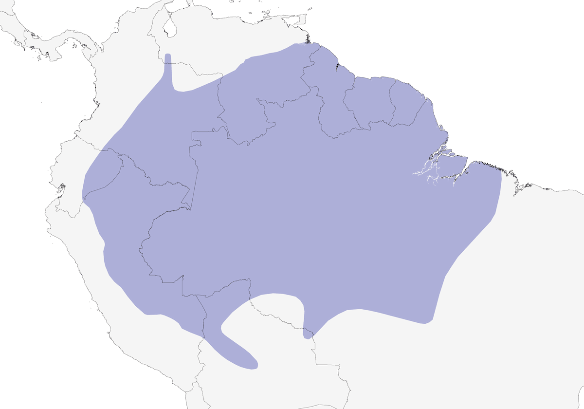 Spangled Cotinga, Distribution 1