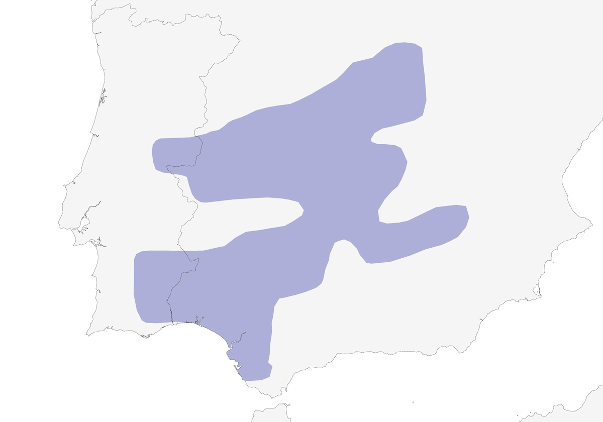 Spanischer Kaiseradler, Verbreitung 1