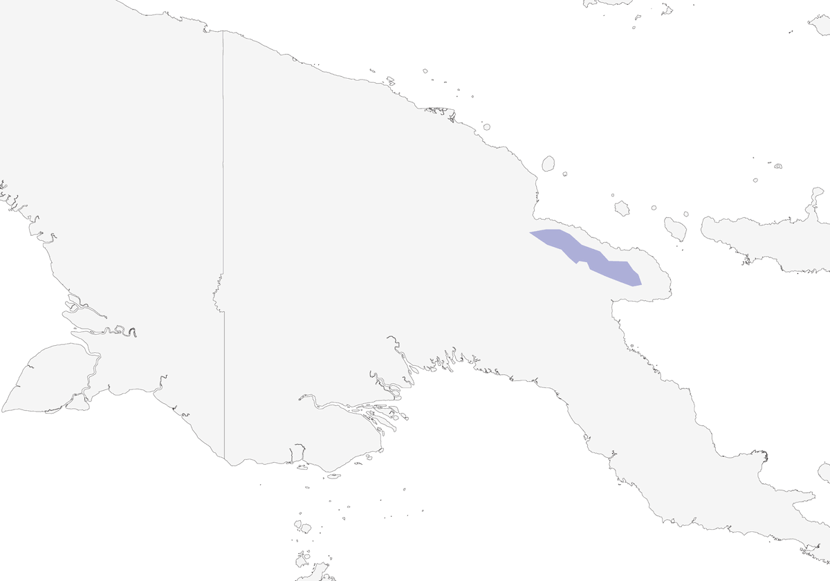 Melifago luccicante, Distribuzione 1