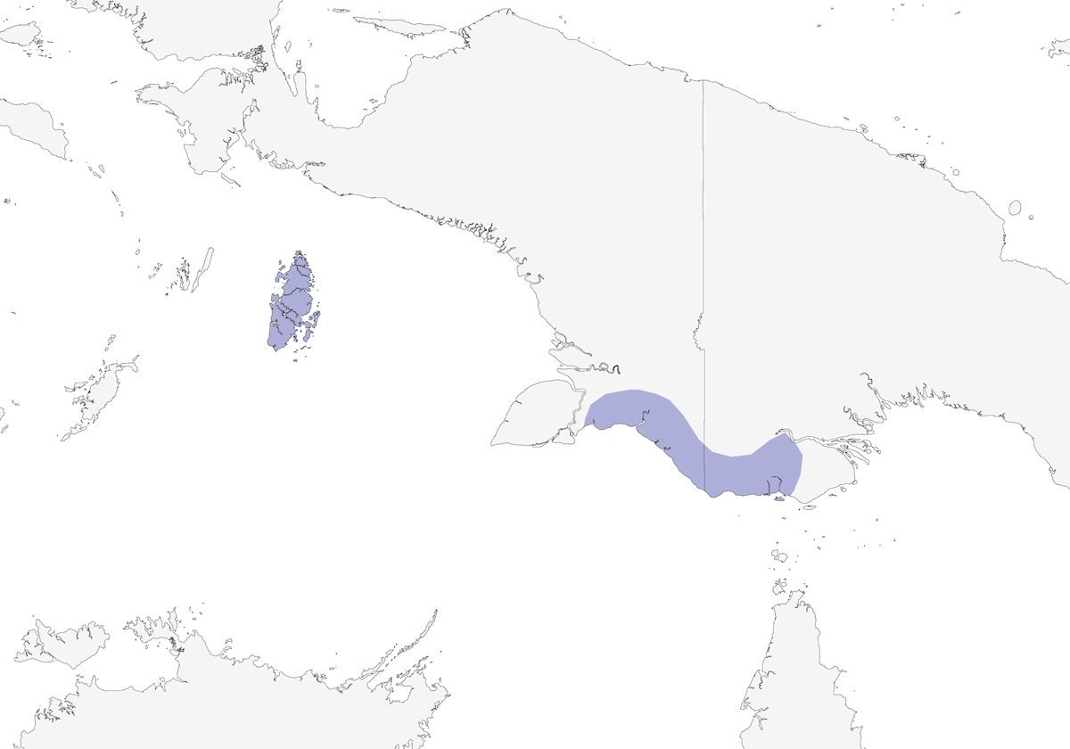 Kookaburra luccicante, Distribuzione 1