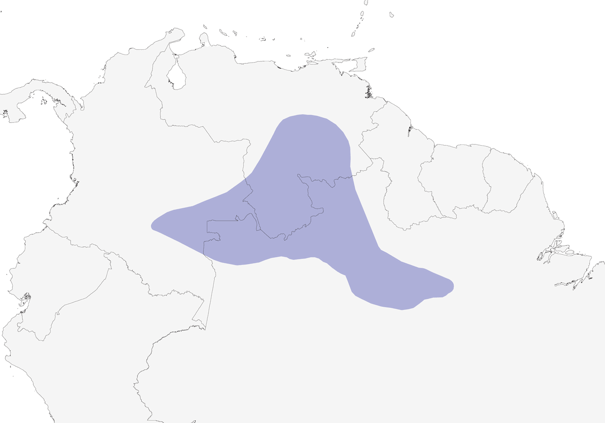 Formichiere dorsomacchiato, Distribuzione 1