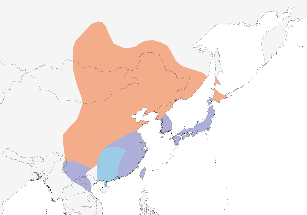 Anatra beccomacchiato orientale, Distribuzione 1