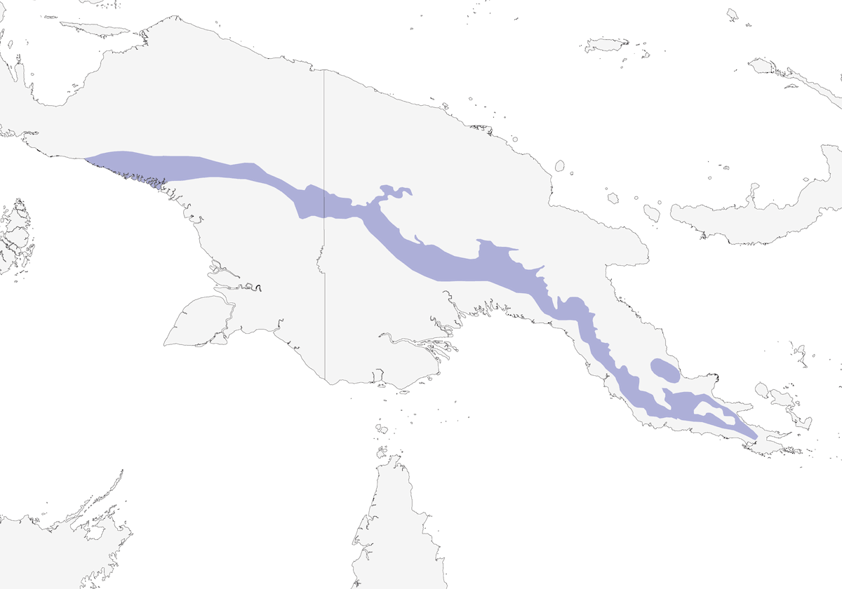 Melifago maculato, Distribuzione 1