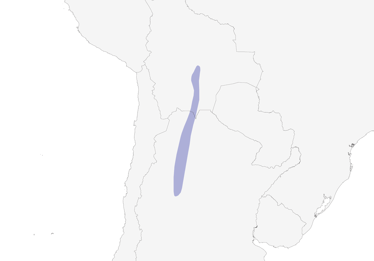Codi spinosa pettomacchiettato, Distribuzione 1