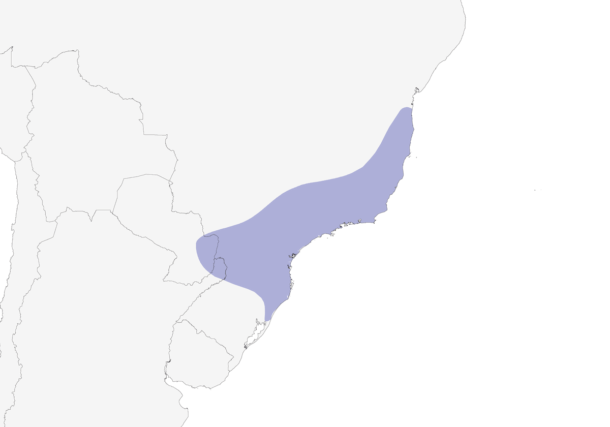 Tucanete piquimanchado, Distribución 1