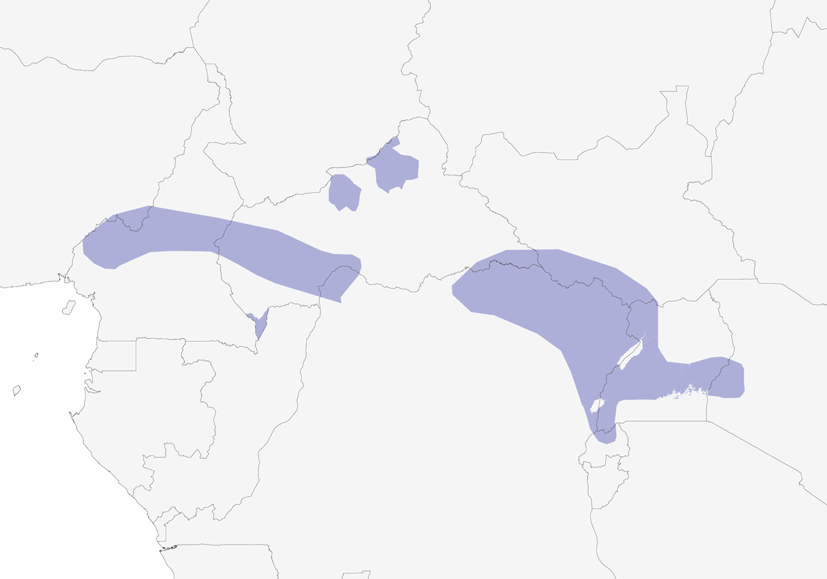 Speckle-breasted Woodpecker, Distribution 1