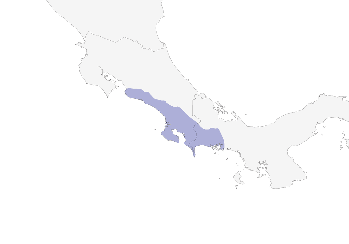 Spot-crowned Euphonia, Distribution 1