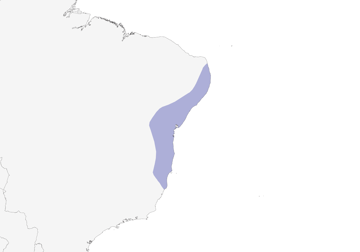 Ostbrasilianischer Guan, Verbreitung 1