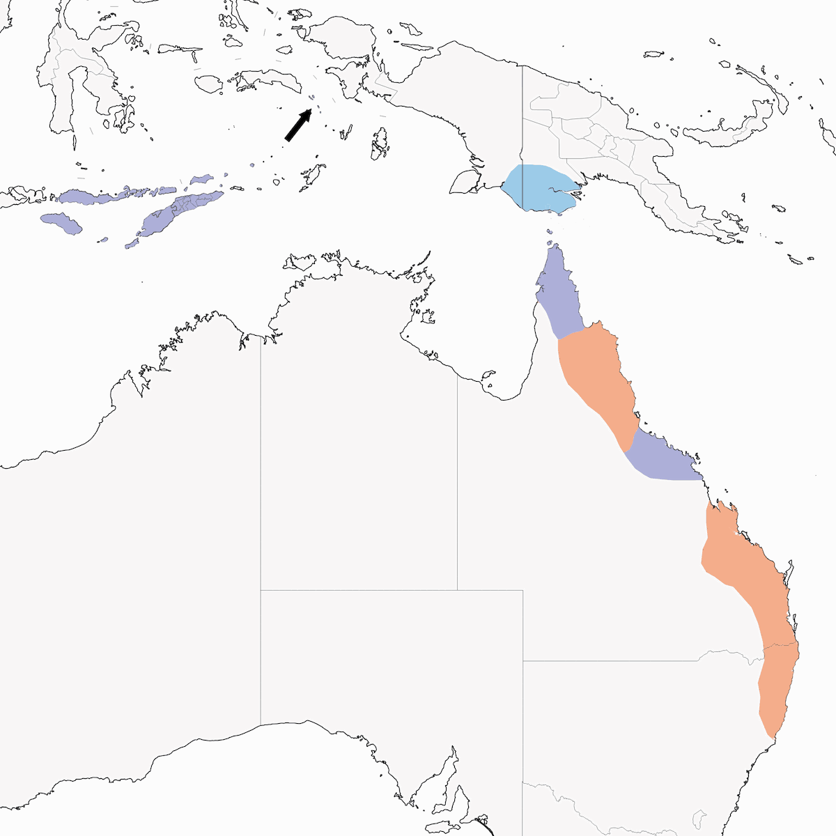Monarca de Anteojos Australiano, Distribución 1