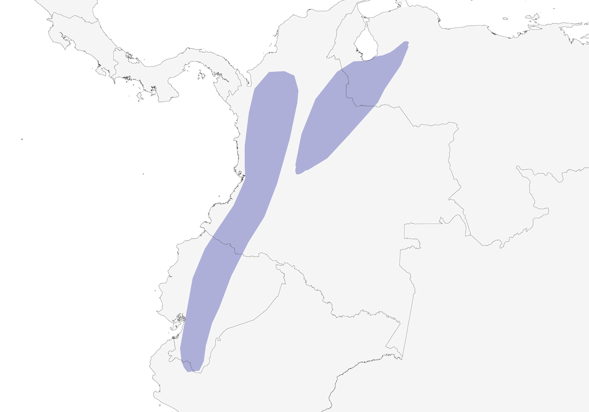 Alzavola andina, Distribuzione 1