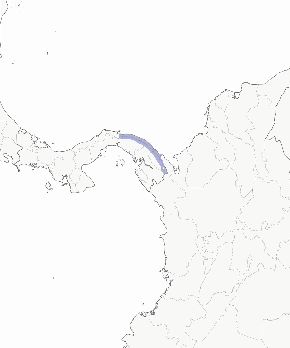 Batara hirsute, Distribution 1