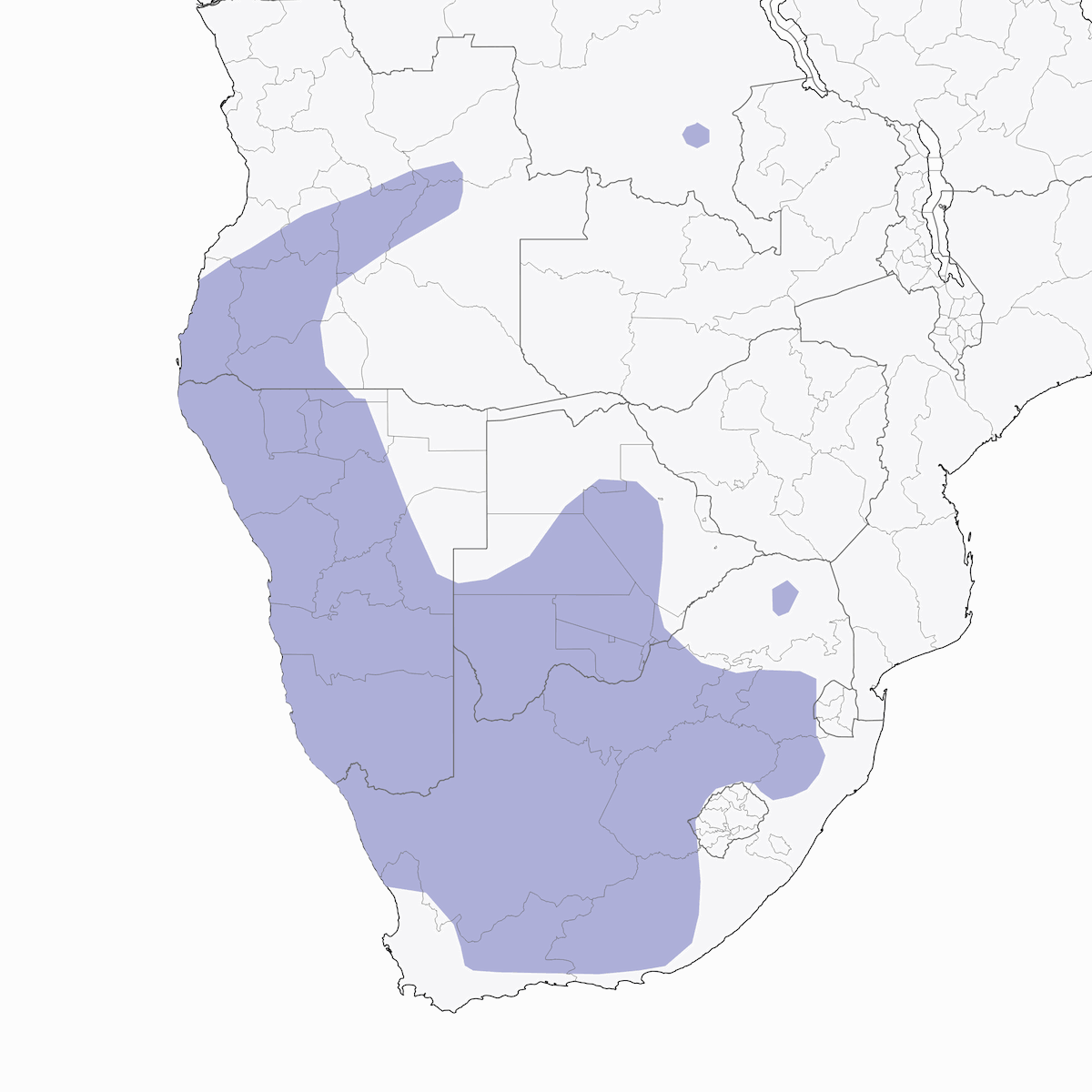 Spike-heeled Lark, Distribution 1