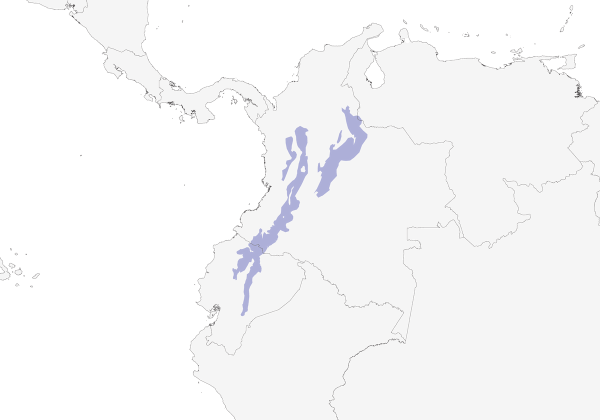 Spillmann's Tapaculo, 分布 1