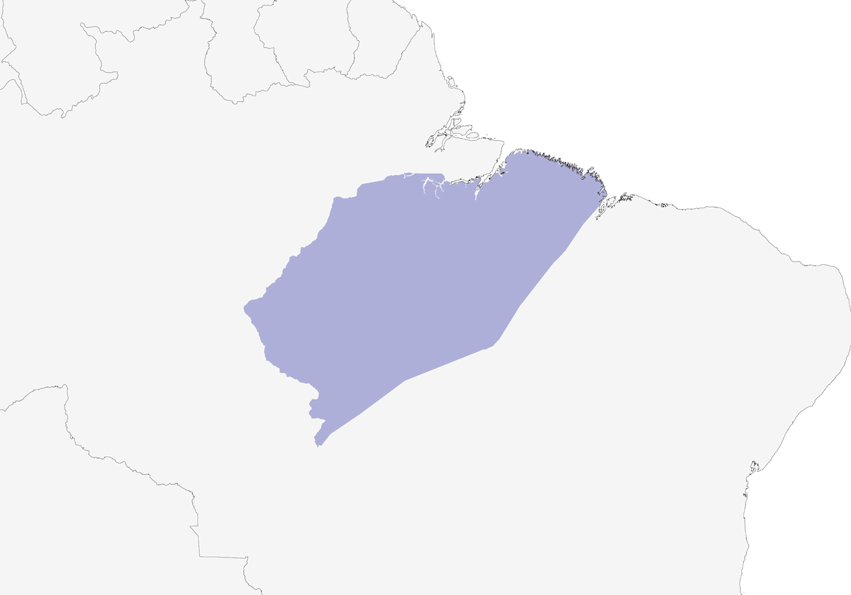 Trepatroncos de Spix, Distribución 1