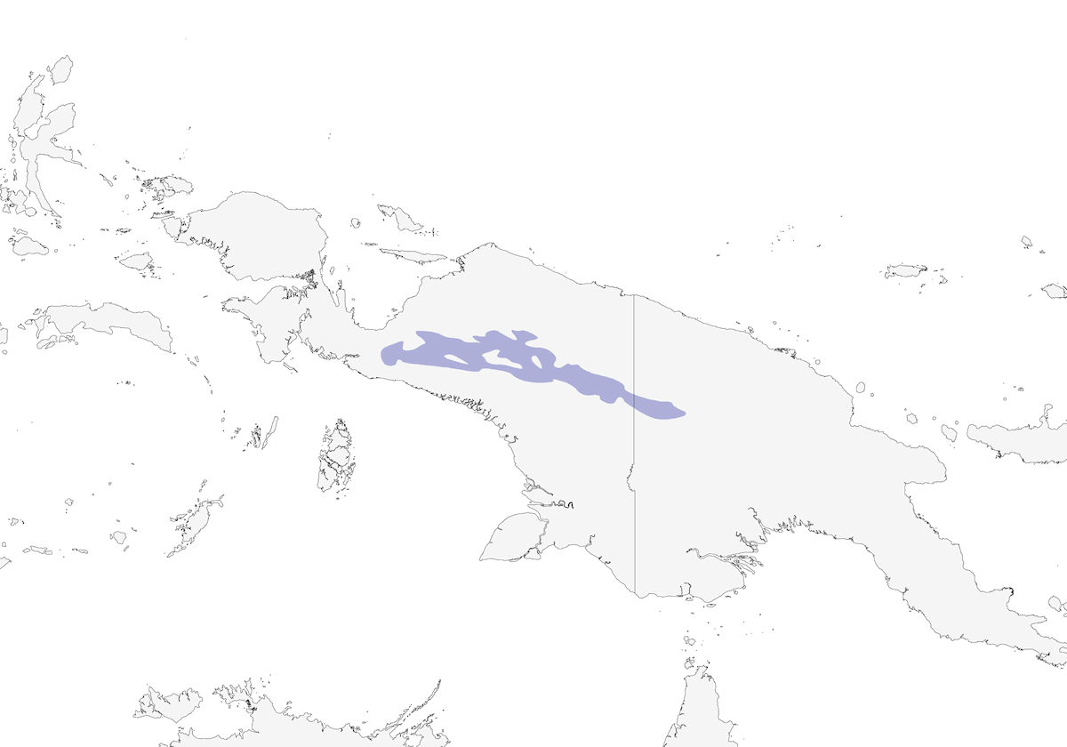 Astrapie magnifique, Distribution 1