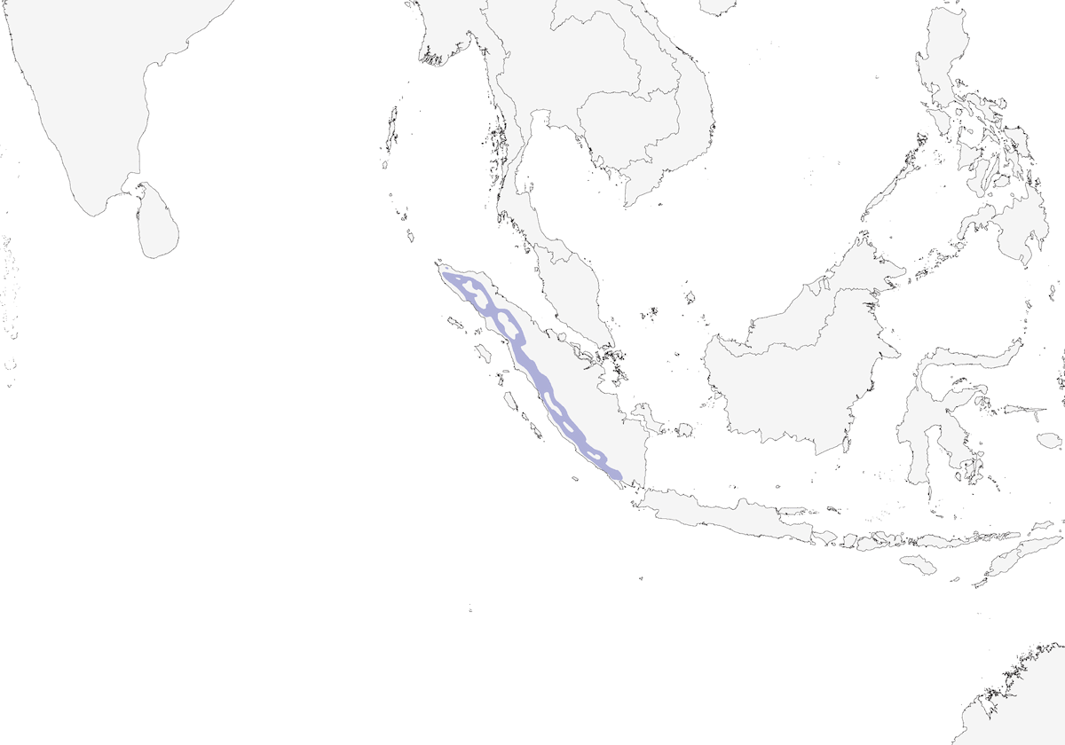 Spot-necked Bulbul, Distribution 1