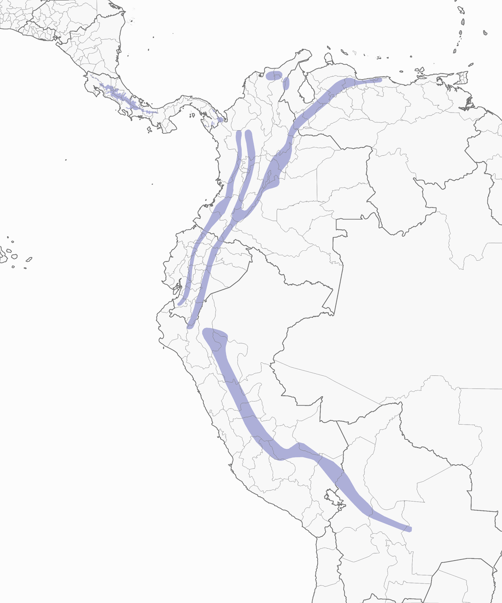 Spotted Barbtail, Distribution 1