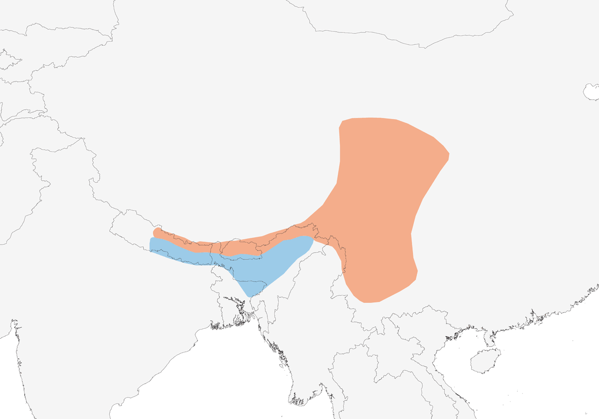 Forapaglie maculato, Distribuzione 1