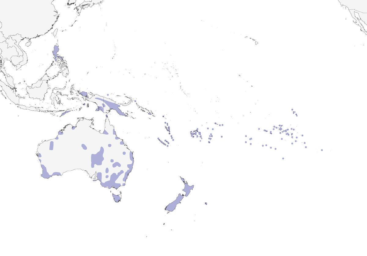 Spotless Crake, Distribution 1