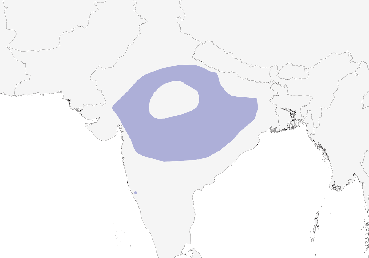 Indian Spotted Creeper, Distribution 1