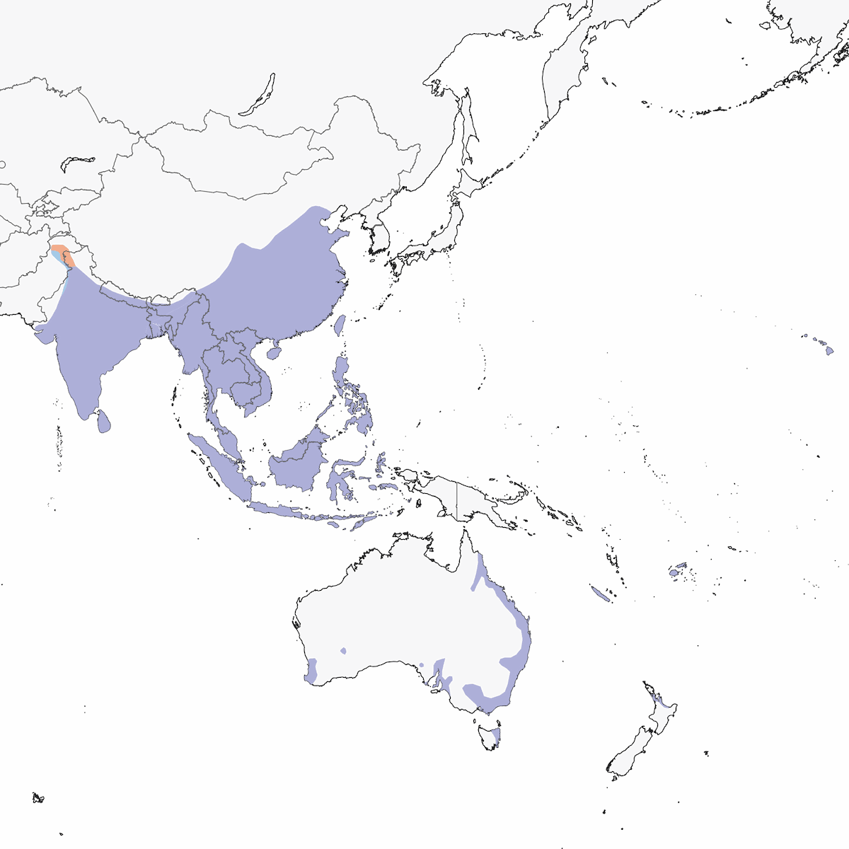 Tortora macchiata, Distribuzione 1