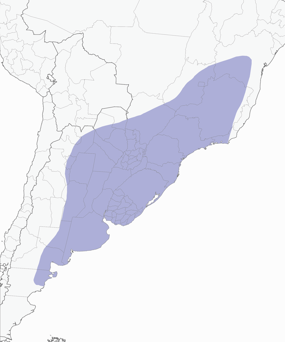 Nothura macchiata, Distribuzione 1