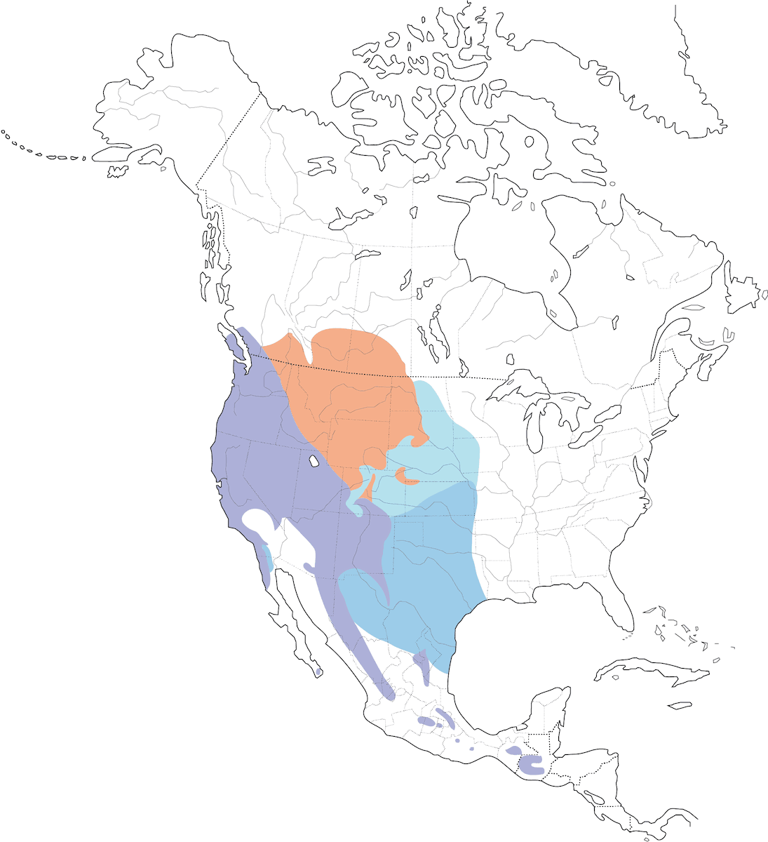 Spotted Towhee, Distribution 1