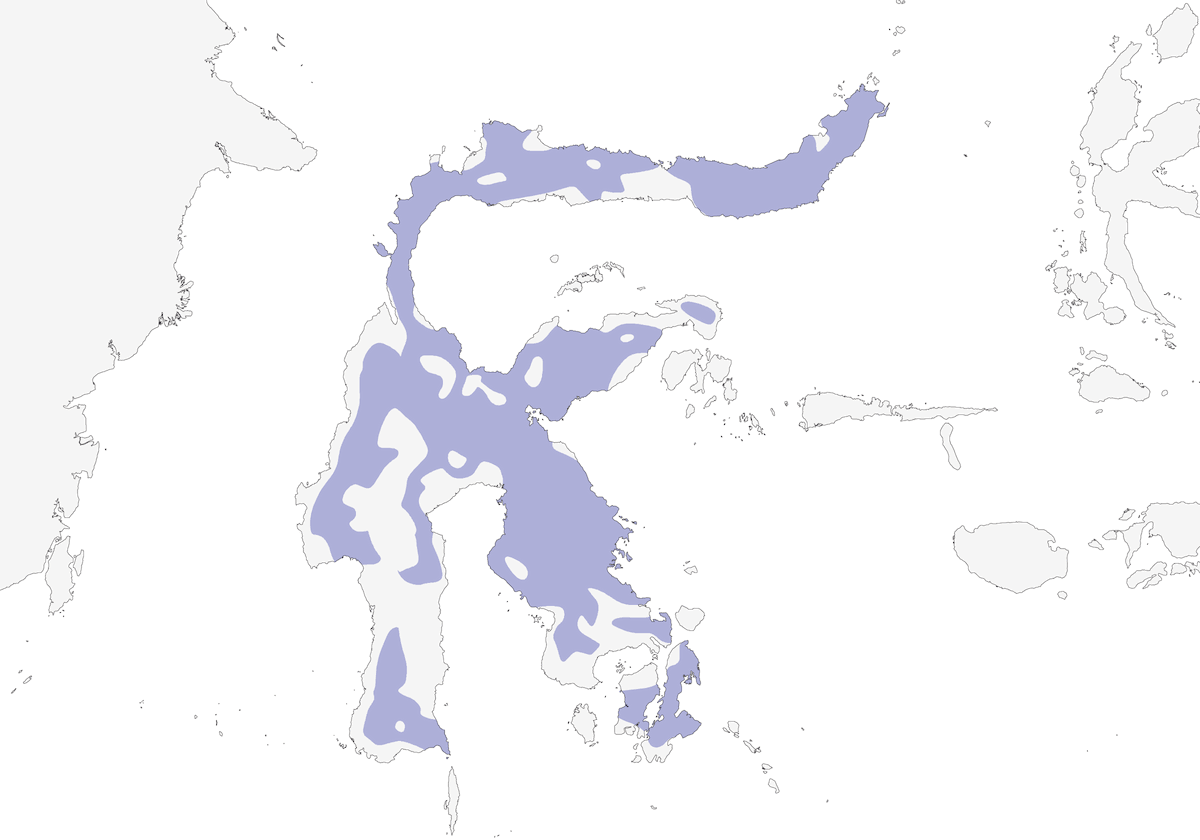 Autour tacheté, Distribution 1