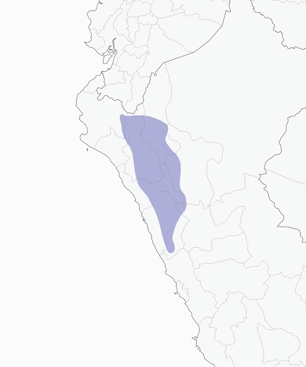 Colibrì golamacchiata, Distribuzione 1